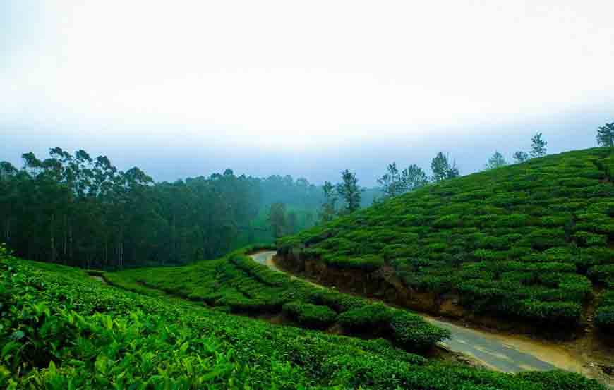 Best taxi booking service in kochi